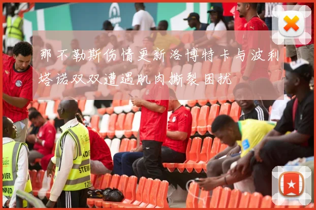 那不勒斯伤情更新洛博特卡与波利塔诺双双遭遇肌肉撕裂困扰