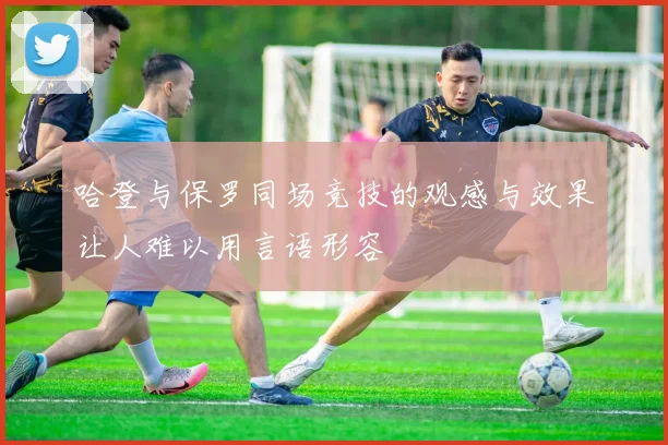 哈登与保罗同场竞技的观感与效果让人难以用言语形容